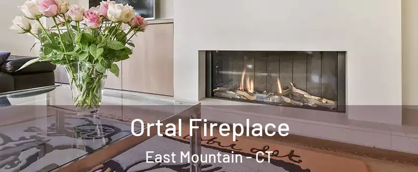 Ortal Fireplace East Mountain - CT