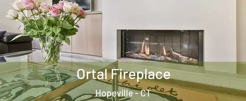 Ortal Fireplace Hopeville - CT