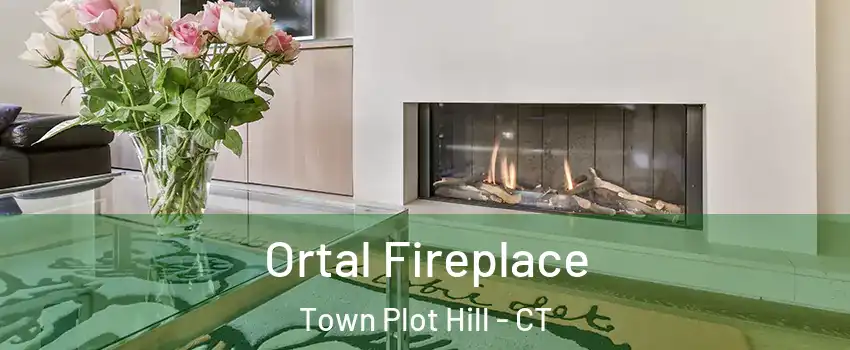 Ortal Fireplace Town Plot Hill - CT