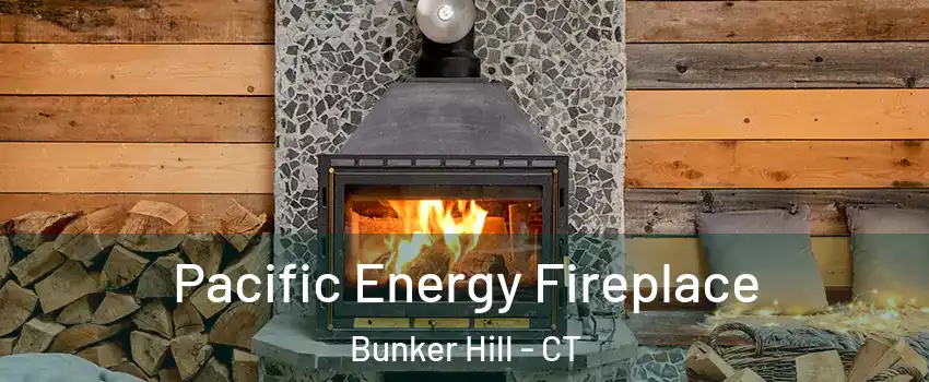 Pacific Energy Fireplace Bunker Hill - CT