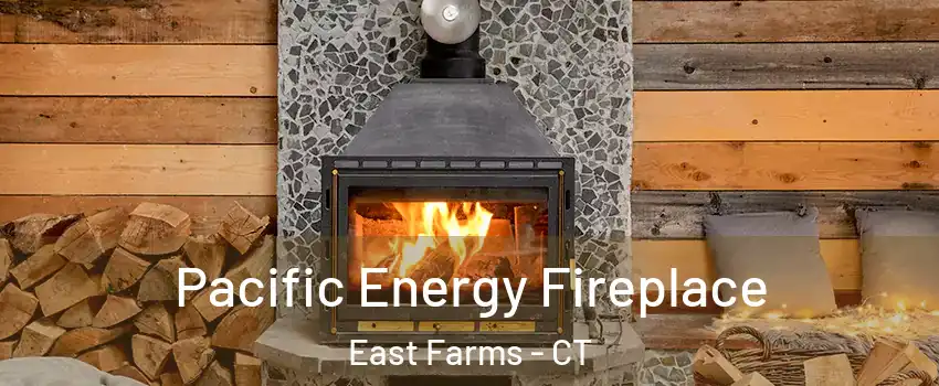 Pacific Energy Fireplace East Farms - CT