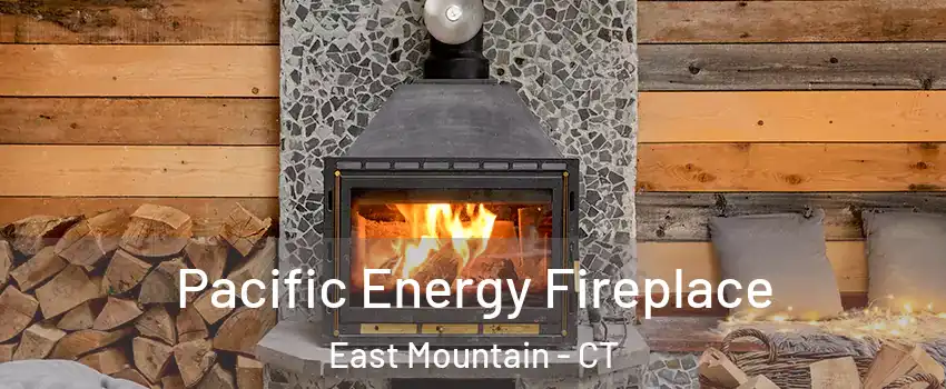 Pacific Energy Fireplace East Mountain - CT