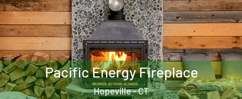 Pacific Energy Fireplace Hopeville - CT