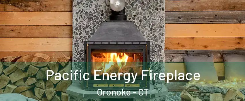 Pacific Energy Fireplace Oronoke - CT