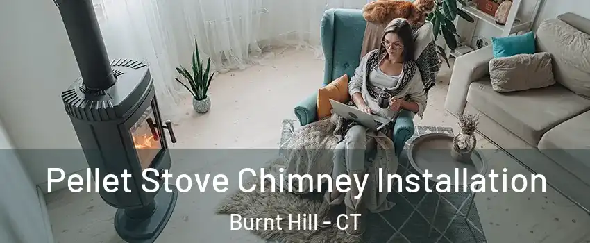 Pellet Stove Chimney Installation Burnt Hill - CT