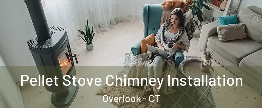 Pellet Stove Chimney Installation Overlook - CT