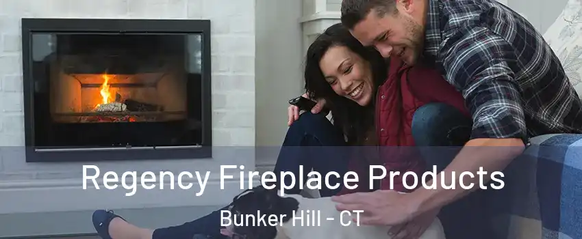 Regency Fireplace Products Bunker Hill - CT