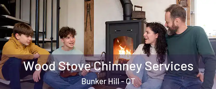 Wood Stove Chimney Services Bunker Hill - CT