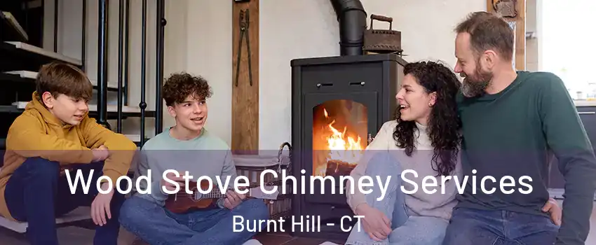 Wood Stove Chimney Services Burnt Hill - CT