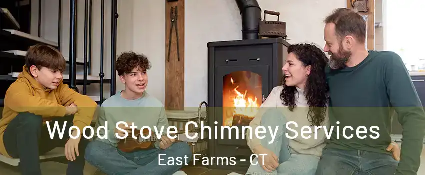 Wood Stove Chimney Services East Farms - CT