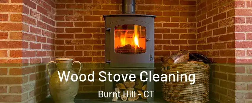 Wood Stove Cleaning Burnt Hill - CT